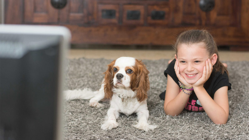 La première chaîne TV pour chiens débarque en France