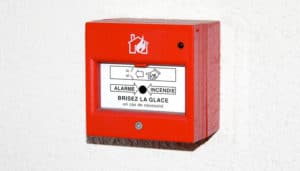 Été brûlant en Hollandie : entre feux et contre-feux