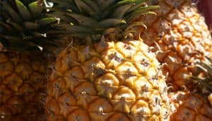 Pas d’ananas sur Radio Courtoisie