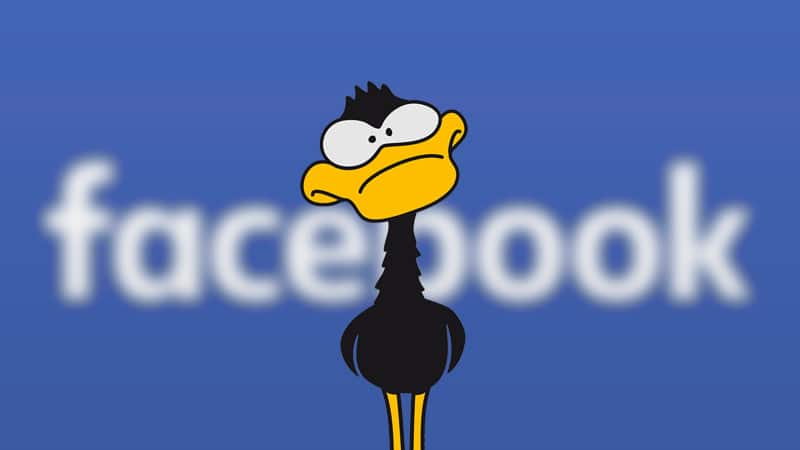 Le Canard Enchaîné se plaint amèrement de ses faux comptes sur Facebook