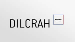 Dilcrah : sur les plates formes numériques, nouvelle loi contre le racisme et l’antisémitisme