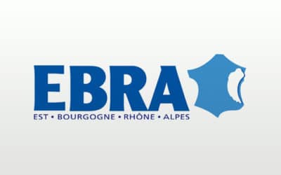 EBRA, principal groupe de quotidiens régionaux en grande difficulté