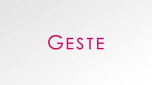 Le GESTE contre l’hégémonie des GAFNAM, la France contre-attaque
