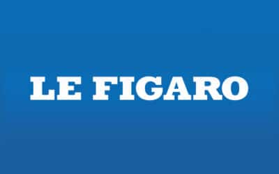 Le Figaro lâché par Dassault et entre Bolloré et Arnault, intox ou infox ?
