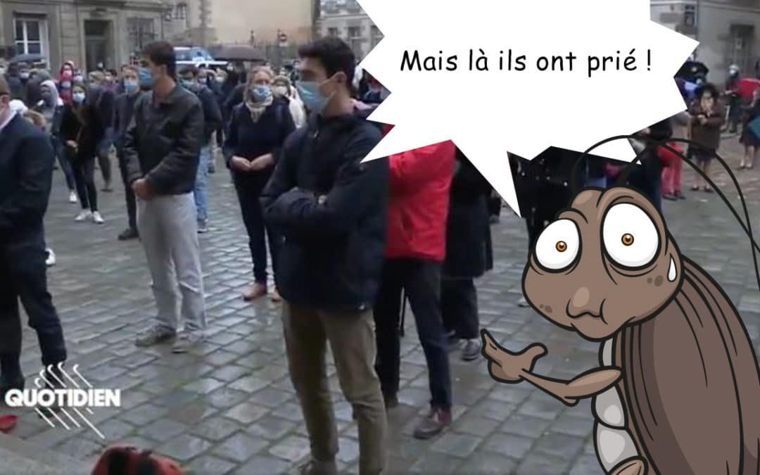 Les cafards, ou le pseudo-journalisme de Quotidien