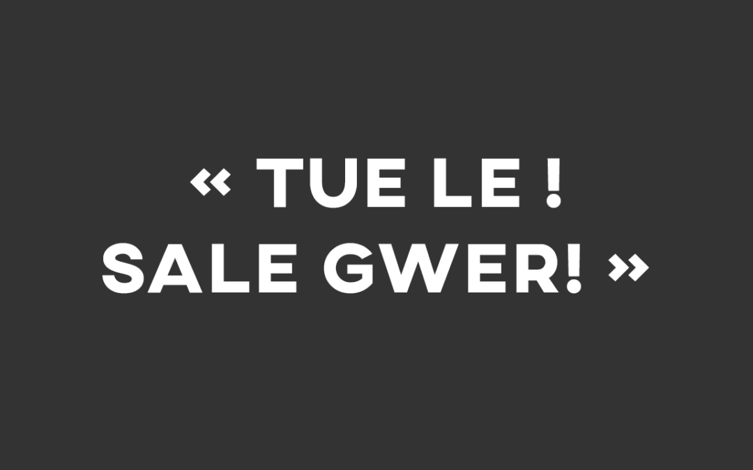 Le racisme anti-blanc en mode mineur dans les médias