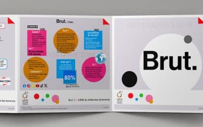 Infographie :&nbsp;Brut