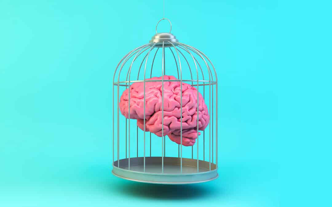 Twitter désinforme en luttant contre la désinformation