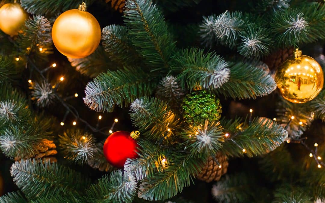 Autour du sapin, joyeux Noël de l’Ojim