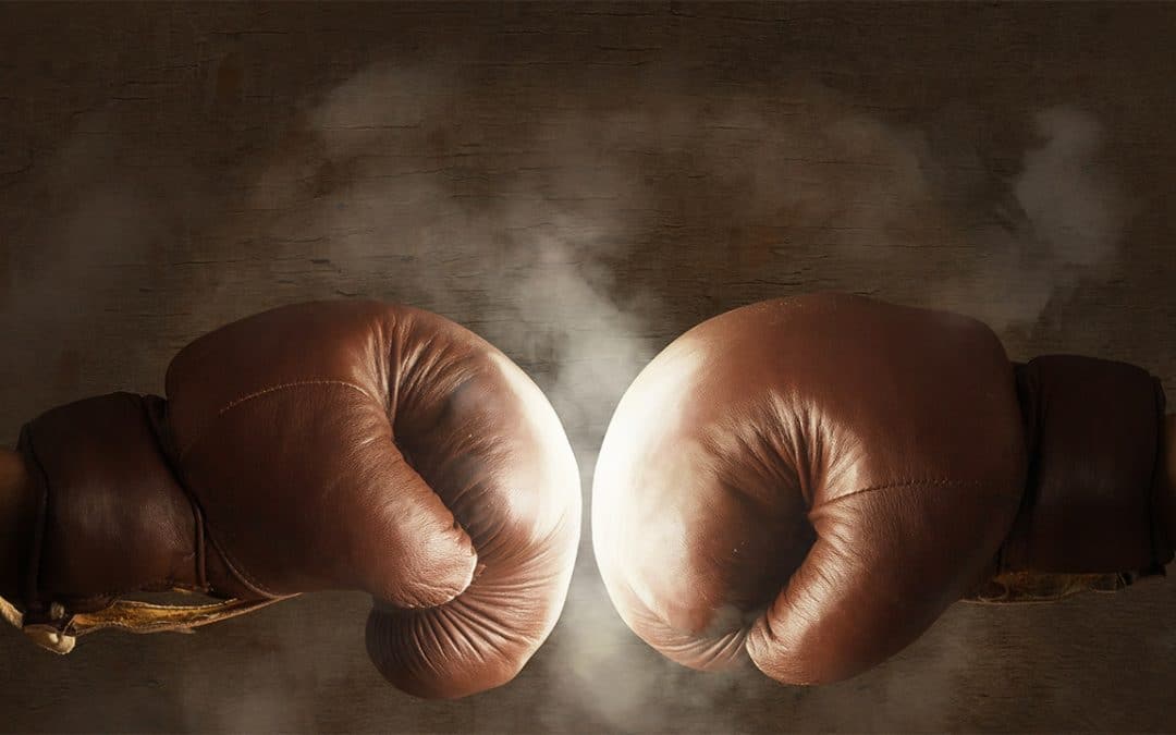 Clashs en série sur les plateaux de France Inter et de C8