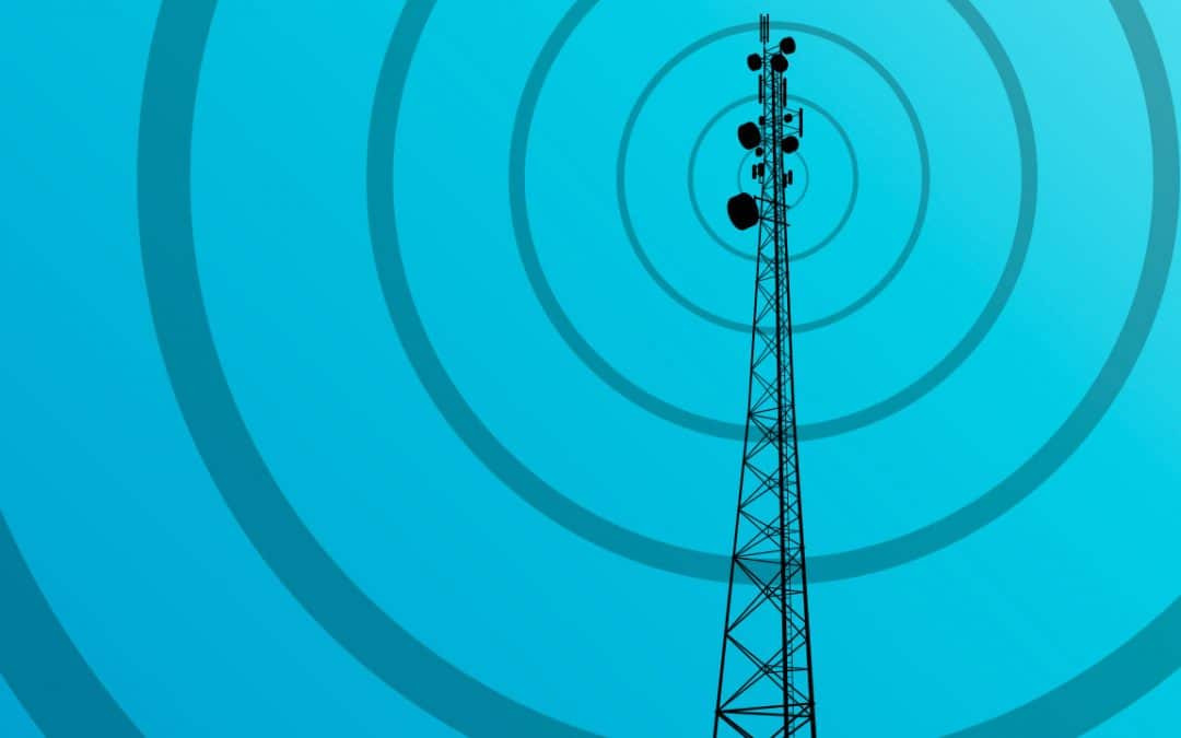 Heurs et misères de la voix de la France en Afrique