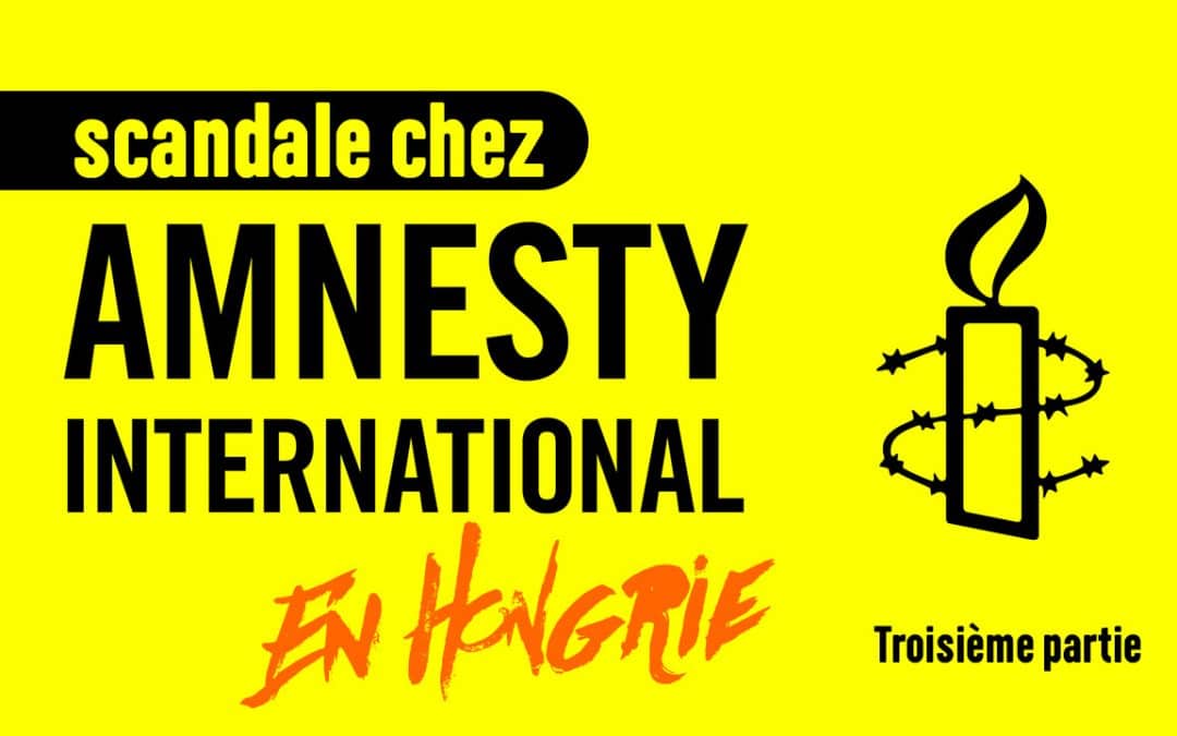 Amnesty International : qui paie ? Troisième partie