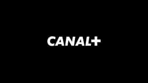 Canal+, objet stratégique et politique