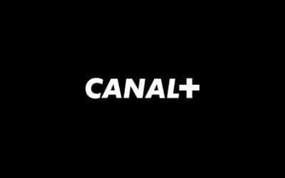 Canal+, objet stratégique et politique