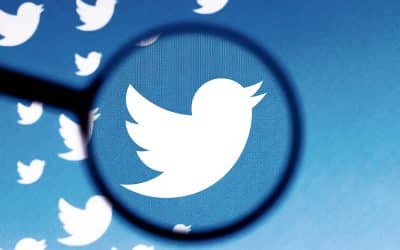 Twitter-Leaks, chasse aux « fake news » : collaboration d'ONG allemandes et américaines