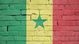 Sénégal : des patrons de presse en larmes