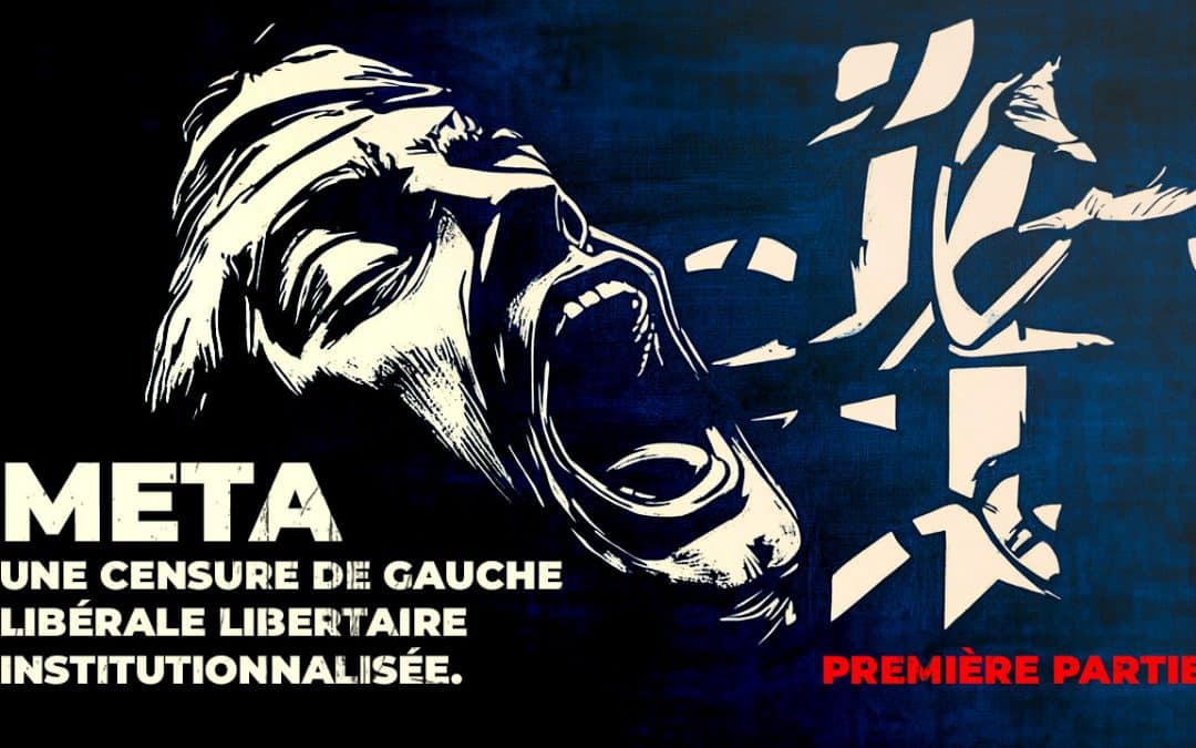 Meta, une censure de gauche libérale libertaire institutionnalisée. Première partie
