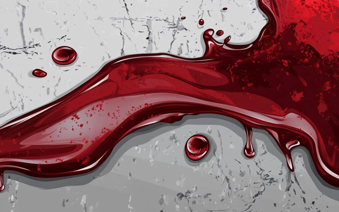 Iryna Zarutska, le meurtre raciste anti-blanc dont on ne parle pas&nbsp;assez