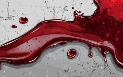 Iryna Zarutska, le meurtre raciste anti-blanc dont on ne parle pas&nbsp;assez