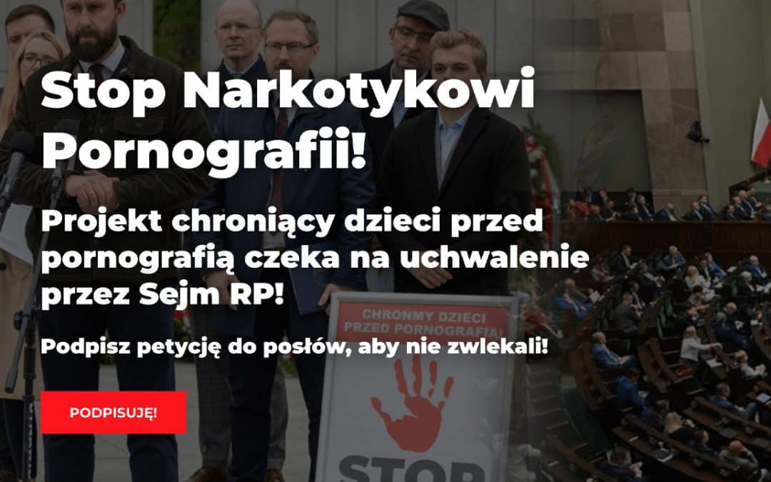 Pornographie en ligne : comment l’Union européenne empêche les États de protéger efficacement les mineurs