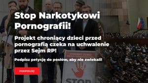 Pornographie en ligne : comment l’Union européenne empêche les États de protéger efficacement les mineurs