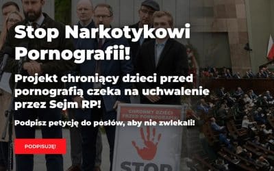 Pornographie en ligne : comment l’Union européenne empêche les États de protéger efficacement les mineurs